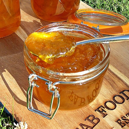 Mirabelle Plum Jam - Recipe photo by Fab Food 4 All