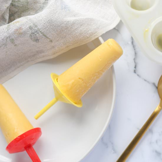 2-Ingredient Greek Yogurt Popsicles - Recipe photo by eatsbyapril