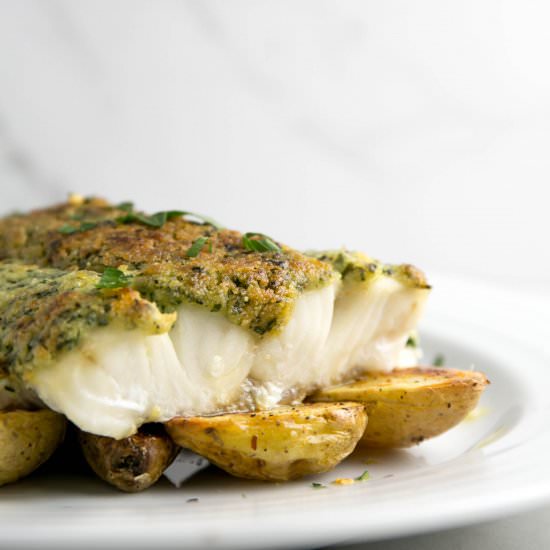 Lemon & Herb Crusted Cod - Recipe photo by lovecheflaura