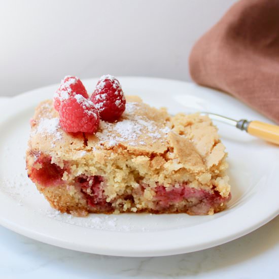 Double Raspberry Cake - Recipe photo by the good eats co