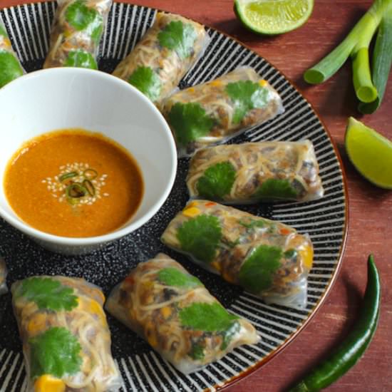 Vegan Rice Paper Rolls (GF) - Recipe photo by The Pesky Vegan