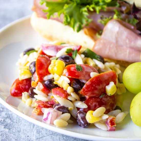 Orzo Pasta Salad - Recipe photo by BeyondtheCoop