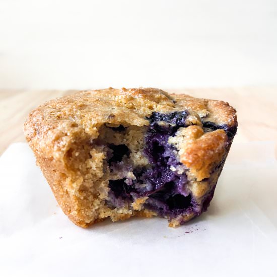 Blueberry Oat Protein Muffins - Recipe photo by Sugarylogic