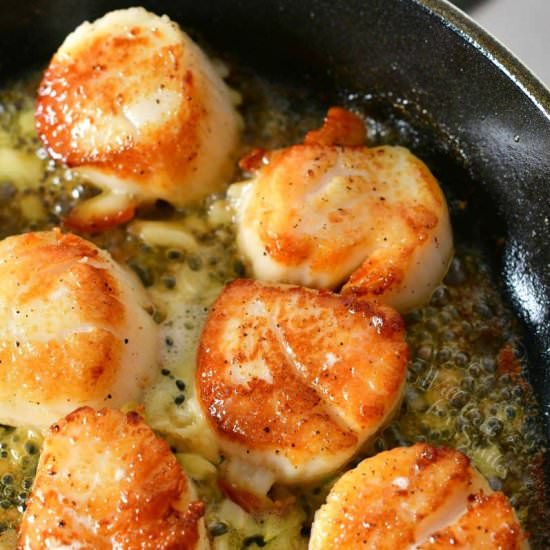Seared Scallops - Recipe photo by WillCookForSmiles
