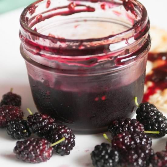 Make Delicious Mulberry Jam - Recipe photo by sustain my cooking habit