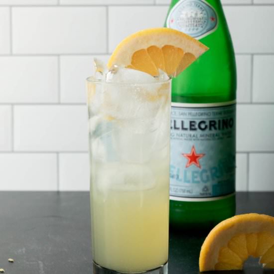 Fennel Grapefruit Vodka Fizz - Recipe photo by JawnsICooked