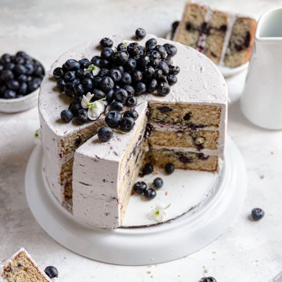 Blueberry Cinnamon Cake - Recipe photo by OneSarcasticBaker