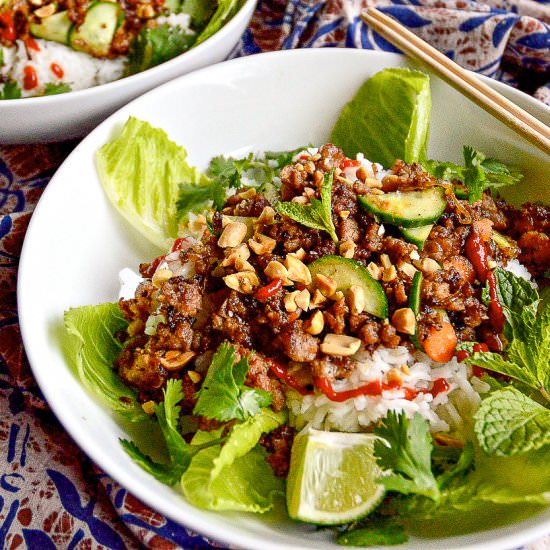 Vietnamese Caramelized Ground Pork - Recipe photo by thisishowicook