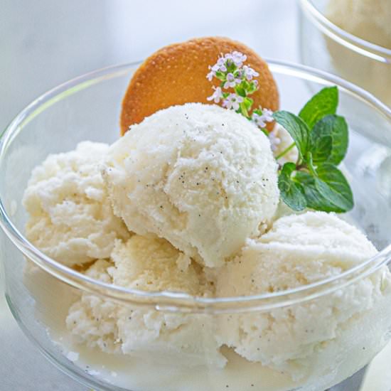 Vanilla Bean Ice Cream - Recipe photo by House of Elyn Ryn