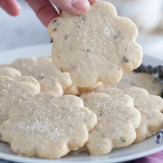 Lavender Shortbread - Recipe photo by WhatAGirlEats