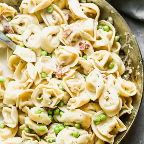 Tortellini Carbonara - Recipe photo by cookingforkeeps