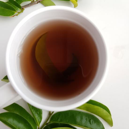Soursop Tea Recipe (Plus Benefits) - Recipe photo by zenhealth