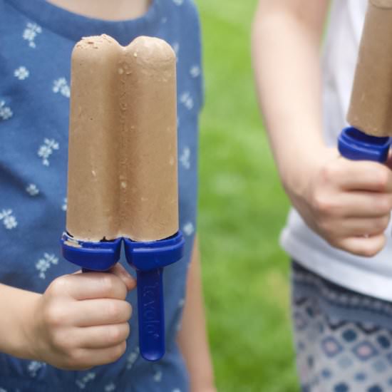 Chocolate-Coconut & Fig Popsicles - Recipe photo by lanebakery