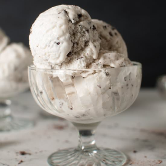 Mint Chip Ice Cream - Recipe photo by mountainberry_eats