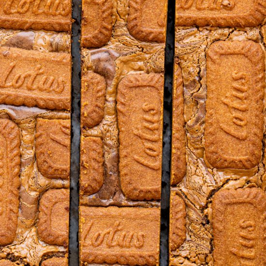 Biscoff Brownies - Recipe photo by supergoldenbakes