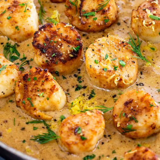 Pan-Seared Scallops - Recipe photo by Jessica Gavin