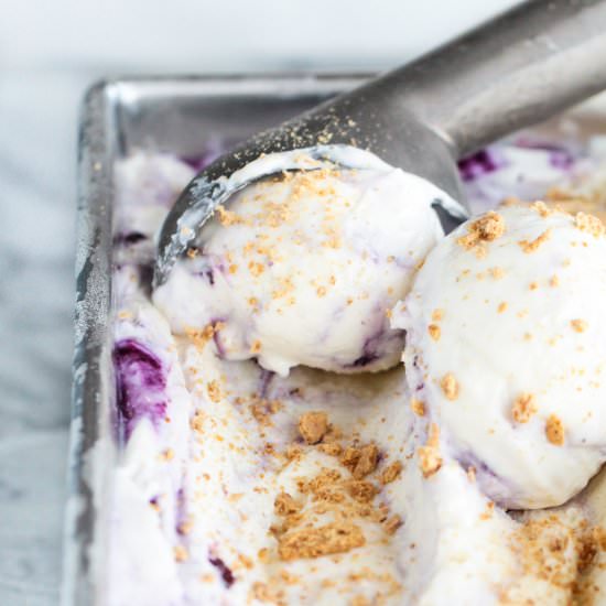 No Churn Blueberry Cheesecake FroYo - Recipe photo by peanutbutterandfitness