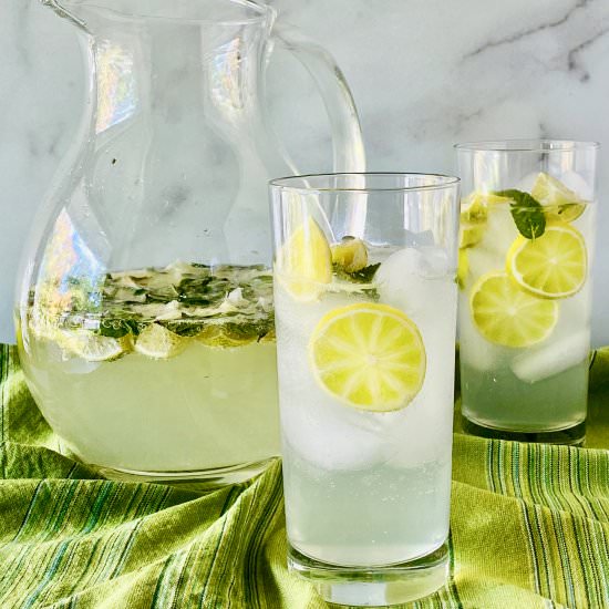 Classic Mojitos by the Pitcher - Recipe photo by theshortordercook