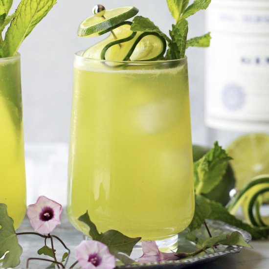 Cucumber Fizz Cocktail - Recipe photo by peanutbutterandfitness
