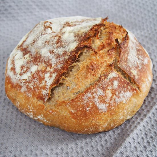 Pin de campagne - Recipe photo by carolinescooking