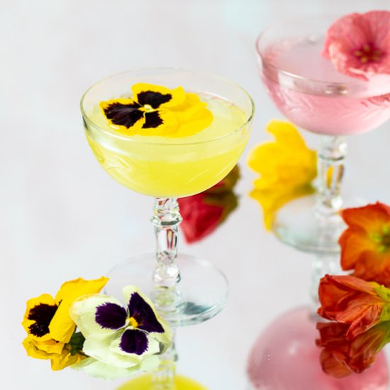 Pansy Gimlet - Recipe photo by sidewalkshoes
