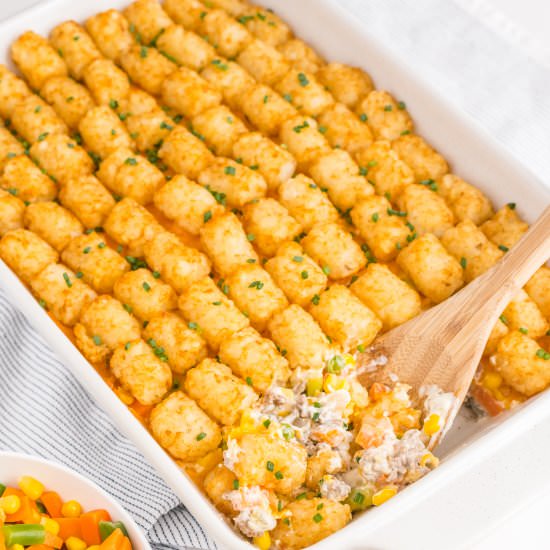 Tater Tot Beef Casserole - Recipe photo by EasyBudgetRecipes