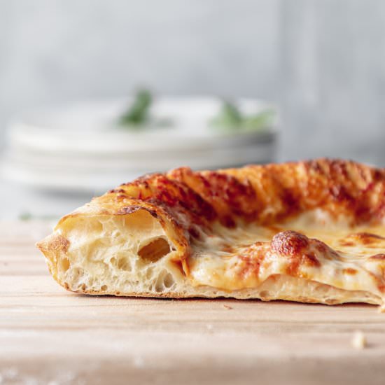 artisan pizza dough - Recipe photo by withspice