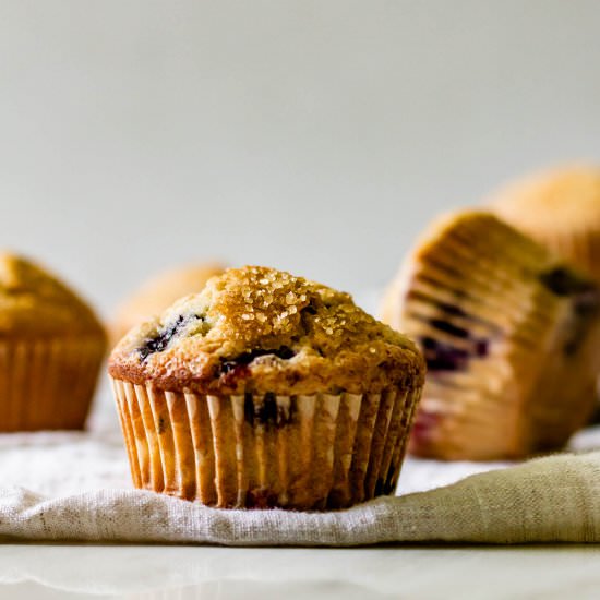 Lavender Wild Berry Muffins - Recipe photo by gatheredatmytable