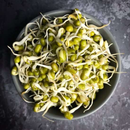 How to make green moong sprouts - Recipe photo by spicytamarind