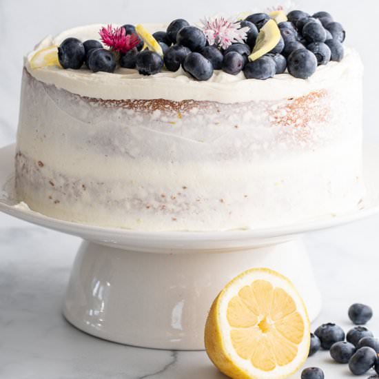 Best Lemon Blueberry Cornmeal Cake - Recipe photo by Aredspatula