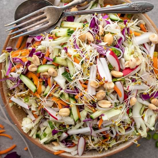 Vietnamese Veggie and Sprout Salad - Recipe photo by Aredspatula