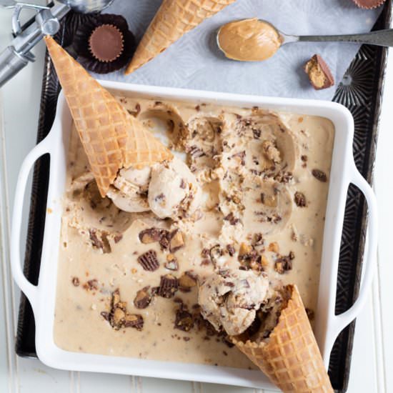 No-Churn Peanut Butter Ice Cream - Recipe photo by islandbakes