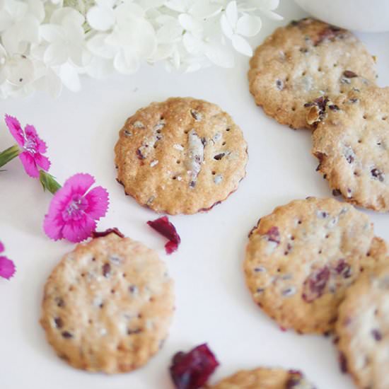 Cranberry Sourdough Discard Cracker - Recipe photo by indulgewithmimi