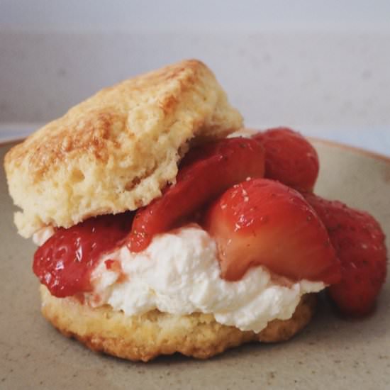 Scones with strawberries & cream - Recipe photo by earlgreythursday