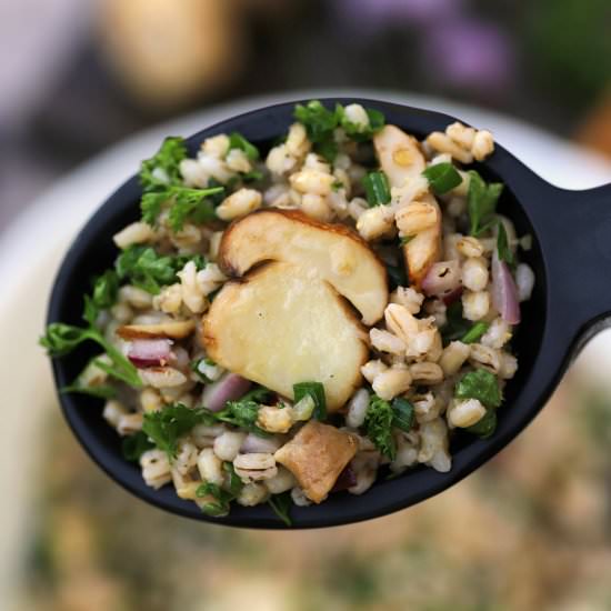 Mushroom Barley Salad - Recipe photo by dishnthekitchen