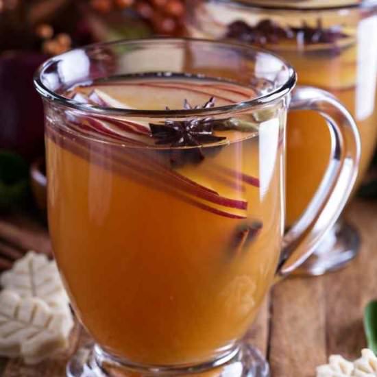 Easy Mulled Cider Slow Cooker - Recipe photo by Everything Pretty