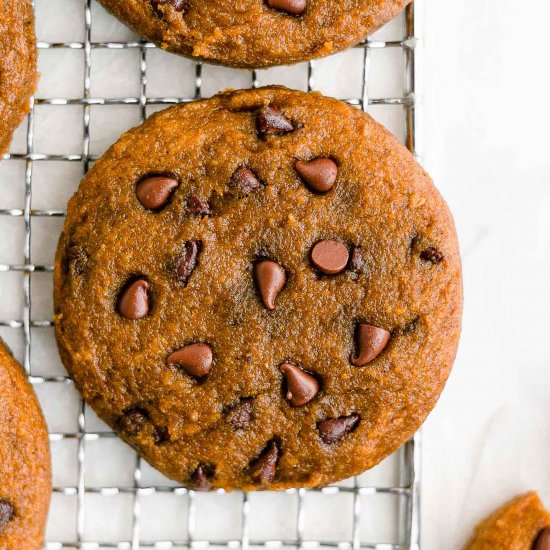Pumpkin Chocolate Chip Cookies - Recipe photo by foods for the soul