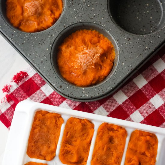 How to Freeze Canned Pumpkin Puree - Recipe photo by toaster oven love