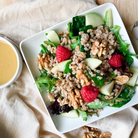Farro Salad with Fruit - Recipe photo by Sugarylogic