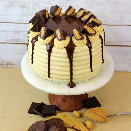Peanut Butter Cup Cake - Recipe photo by GretchensBakery