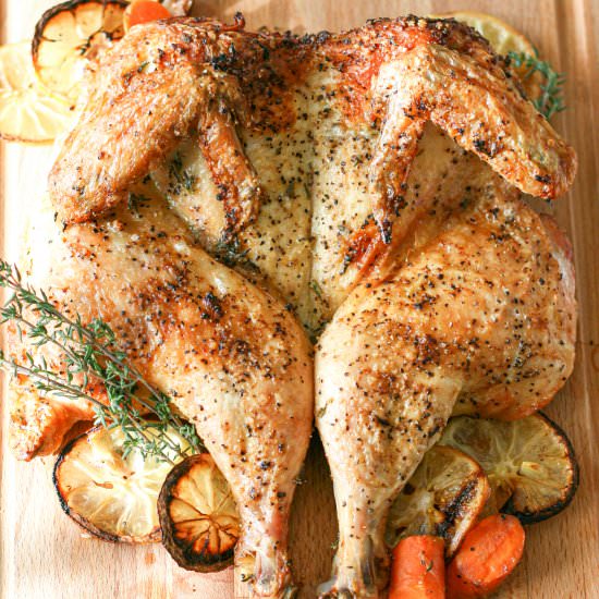 Easy Spatchcock Roasted Chicken - Recipe photo by HautePepper