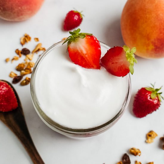 2-Ingredient Coconut Yogurt - Recipe photo by brokebankvegan