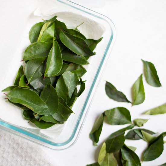 How to Store Curry Leaves - Recipe photo by pipingpotcurry