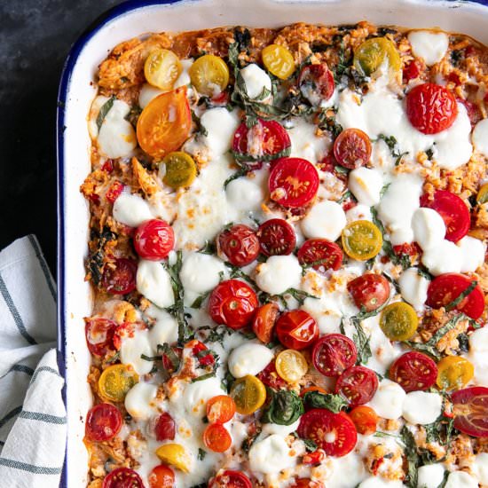 Cheesy Chicken Caprese Casserole - Recipe photo by theforkedspoon