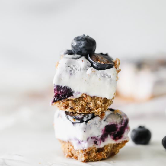 Blueberry Crisp Ice Cream Bars - Recipe photo by poshlittledesigns