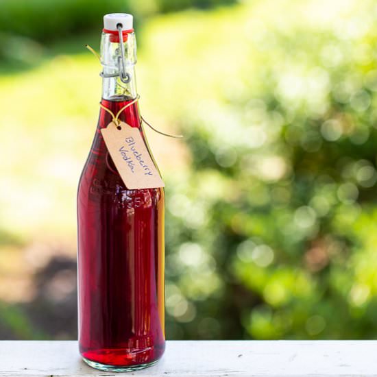 Blueberry Vodka - Recipe photo by sidewalkshoes