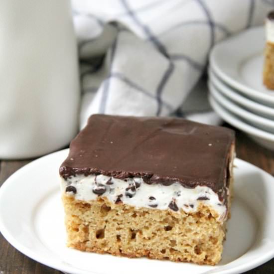 S'mores Cake - Recipe photo by snappygourmet