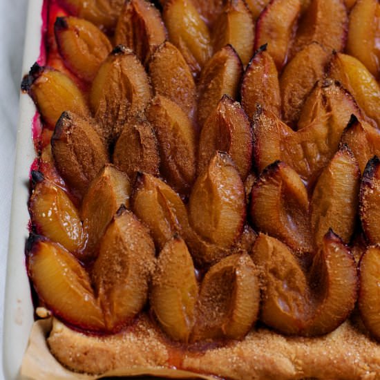 Zwetschgendatschi – Plum Tart - Recipe photo by JayWadams