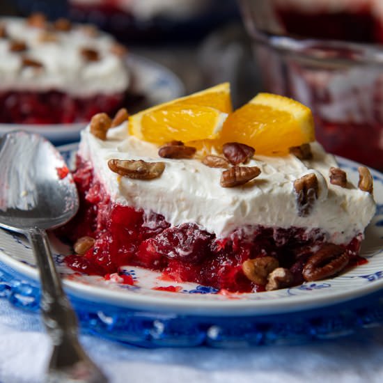 Raspberry Cranberry Jello Salad - Recipe photo by MamaGourmand