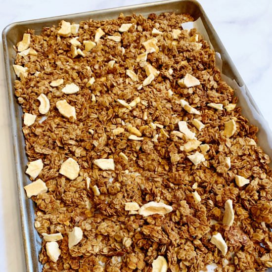 Healthy Apple Cinnamon Granola - Recipe photo by return to the kitchen